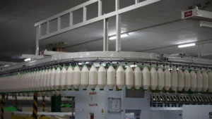 Knit Cotton Fabric: Uses, Construction, and B2B Applications